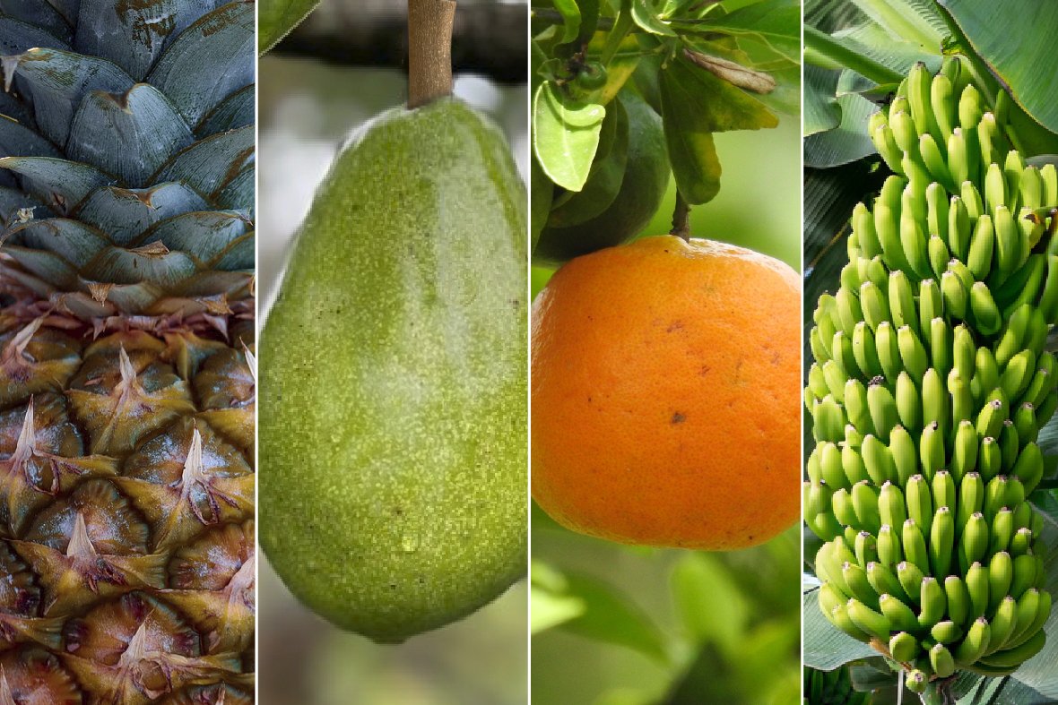 frutales.jpg